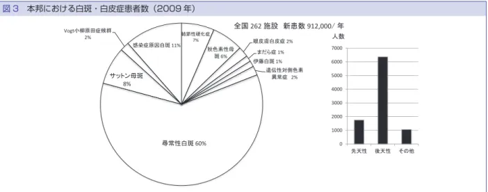図 3 本邦における白斑・白皮症患者数（2009 年） ඲ᅜ 262 ᪋タ䚷᪂ᝈᩘ 912,000㻛 ᖺ が分かった 7）8） ．細胞性免疫の関与としては，末梢血中 に HLA-class I 抗原である HLA-A＊0201（日本人の約 20％）に拘束された CD8 ＋ T 細胞が同定されること 9） ， 実際の白斑皮膚に CD4 ＋ および CD8 ＋ エフェクター T 細胞の浸潤がみられることなどからも自己免疫の要素 をもった疾患と考えられている．自己免疫説以外に， 色素細胞は NO や酸化ストレスで