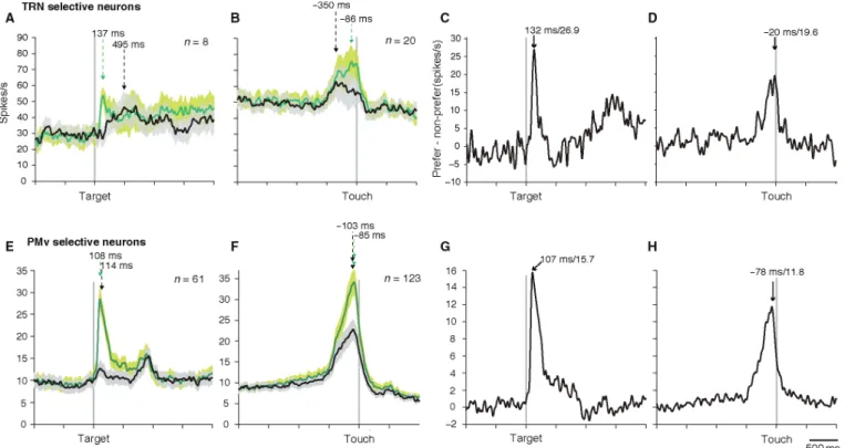 Fig. 6. Population activity of spatially selective neurons. (A) Population activity (mean   SEM) of visual-related TRNrd neurons for preferred (green) and 6 non-preferred (black) positions