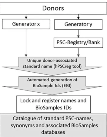 Figure 1. Naming Scheme for hPSC Lines
