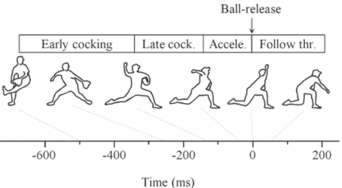 Fig. 3　 Pitching motion is explained by four phases that are  early cocking phase, late cocking phase, acceleration  phase and follow through phase