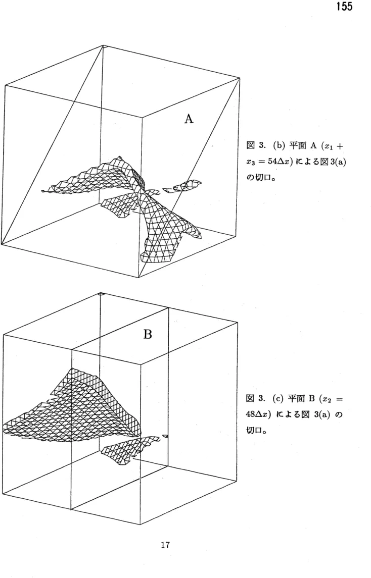 図 3. (b) 平面 A $(x_{1}+$ $x_{3}=54\Delta x)$ による図 3(a) の切口。 図 3. (c) 平面 $B(x_{2}=$ $48\Delta x)$ による図 3(a) の 切口。