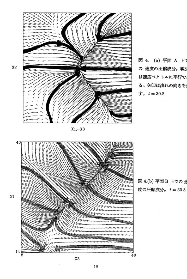 図 4. (a) 平面 A 上で X2 の速度の圧縮成分。 線分 は速度ベクトルに平行であ る。矢印は流れの向きを表 す。 $t=30.8$ . Xl,-X3