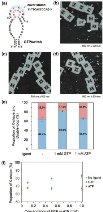 Fig. 3 Observation of the interaction between the Aptakiss and the GTPswitch in the presence of a cover strand