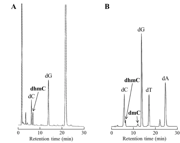Fig. S1 Comparison of the reactivity between (A) CGmCGCG and (B) 20-mer DNAs.  16.3 μM 