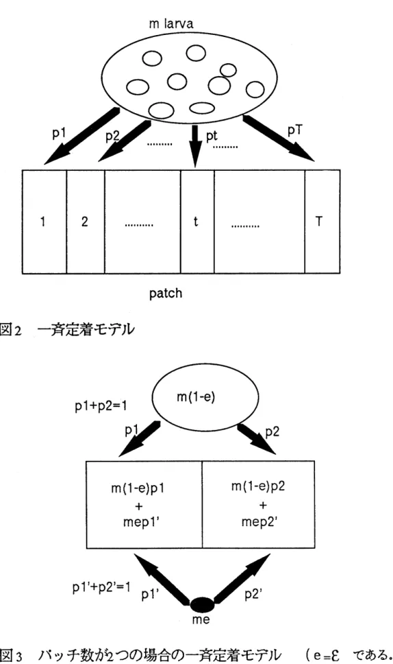 図 3 パッチ数が 2 つの場合の一斉定着モデル ( $e=8$ である。)