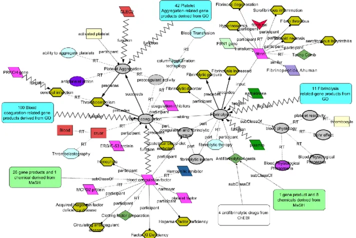図 2. Gene Ontology, MeSH, ChEBI を使って拡張した線維素溶解ナレッジグラフ