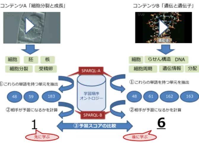 図 7  映像コンテンツの順序を取得する流れ  図 8  学習目標を取得するためのクエリ  図 9  予習スコアを計算するためのクエリ  4 他の研究との関連     本研究では、学習目標内の新出語に着目している ため、専門用語もしくは重要単語ベースの学習順序 と言える。そのため、学習する生徒向けサービスに 利用できる。例えば、高校理科において「遺伝子と DNA」を学習している際の復習として中学理科の 「遺伝の規則性と遺伝子」を学び直すことがサービ スモデルとして想定できる。一方、オントロジーを 教育分野に