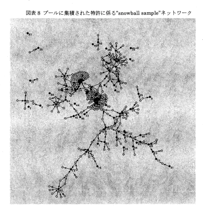 図表 8 プールに集積された特許に係る "snowballsample" ネットワーク