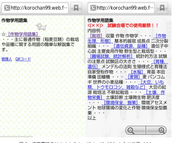 図 5 　携帯電話向けサイトのトップページ（左）と入り口頁（右）