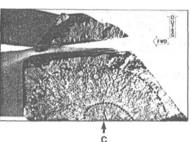 Fig.  3.  Fatigue  crack  fracture  area  cut  from  the      bore  of  the  smaller  piece  of  the  separated  stage 