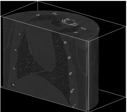 Figure 0.5: ボリュームレンダリング（§6.1）