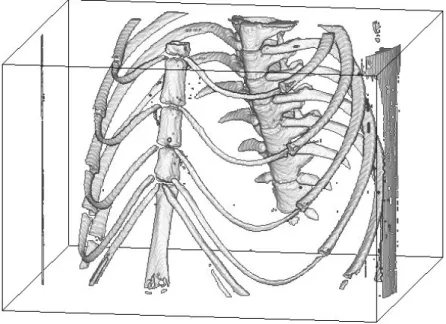 Figure 0.6: ポリゴンを用いたボリュームレンダリング（§8.1）