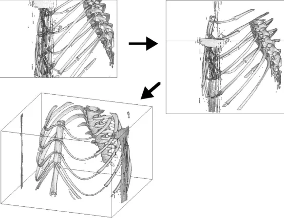 Figure 0.7: 立体画像の動画作成（§8.3）