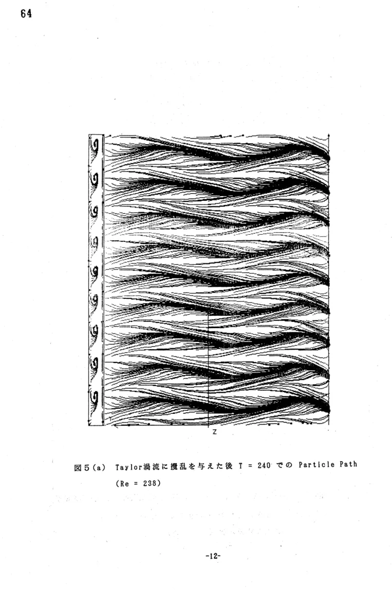図 5 (a) $T$ ay lo $r$ 渦流に撹乱を与えた後 $T=240$ での $P$ ar $tic$ le Path