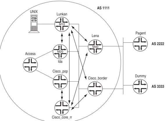 図 4:   Connected Access and POP Route Reflector Routers