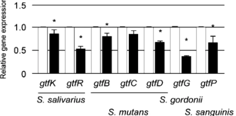 図 2　CBF 構成細菌の gtf 群の遺伝子発現解析