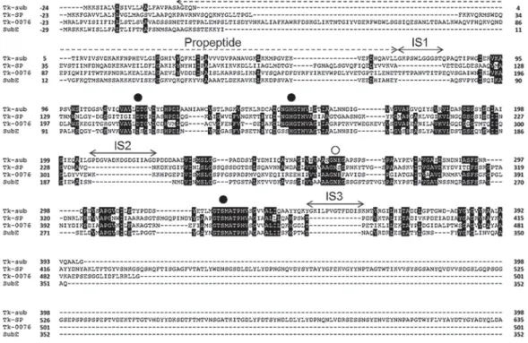 図 2 ． T. kodakarensis 由来 subtilisin のアミノ酸配列の比較． Tk-subtilisin （図中 Tk-sub ）， Tk-SP ， Tk-0076 と枯草菌由来 subtilisin  E との比較．●は触媒 3 残基，○はオキシアニオンホールを表す． Tk-subtilisin には，ユニークな挿入配列（ IS1 〜 IS3 ）が存在する．