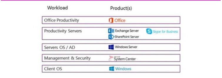 図 1：複数の主要ワークロードから成るマイクロソフトの製品 &#34;スタック&#34;。各ワークロードには 1 種類以上の製品ファミリ (Microsoft Office、Microsoft Exchange  Server など) が含まれます。各製品ファミリはさらに、独立した 1 つ以上の製品またはテクノロジ (Microsoft Office Excel 表計算ソフトウェア、Exchange Server  Standard Edition など) で構成されます。 