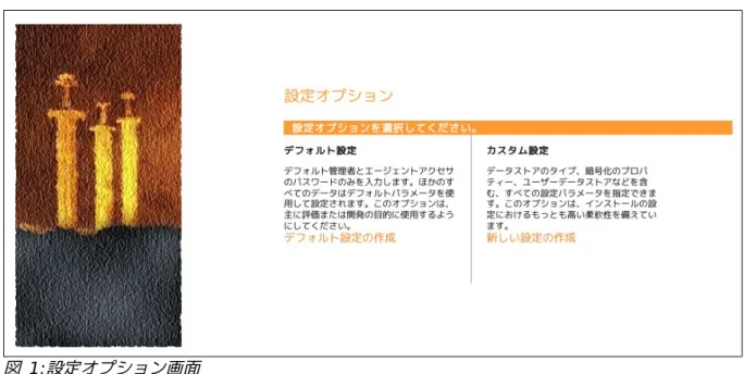 図  1: 設定オプション画面