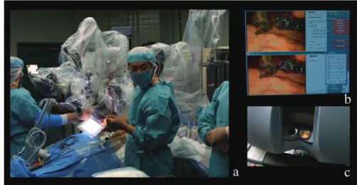 Fig. 8 Clinical application of data fusion system to the surgical robot "Da vinci"