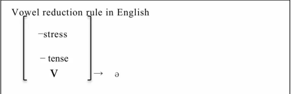 Figure 1.3. Schwa phenomena with the phonological rules.   