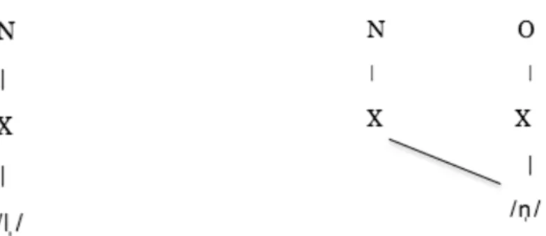 Figure 1.5. Structures for syllabic /l/ and syllabic /n/. “N” stands for a  nuclear  and  “O”  for  onset