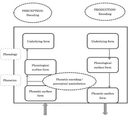 Figure  1.8.  A  speech-sound  processing  model.  Adapted  from  “On  the  perceptual  origin  of  loanword  adaptations:  Experimental  evidence  from Japanese,” by S