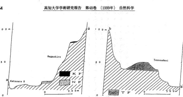 Fig. 4A. Geologiむcross sections at the down‑strea血謡ｅａ](left) a･nd along･the coastal area (right).