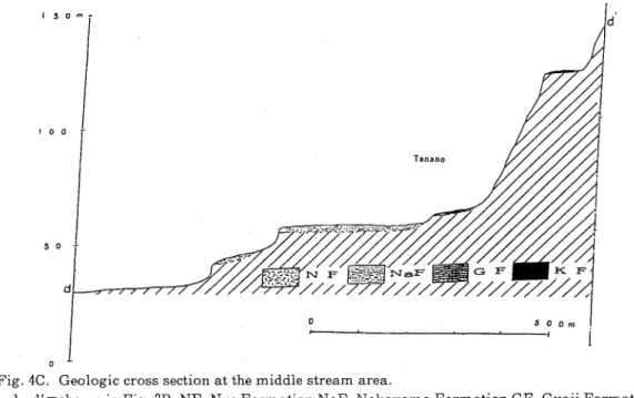 Fig. 4C. Geologic cross section at the middle stream area.