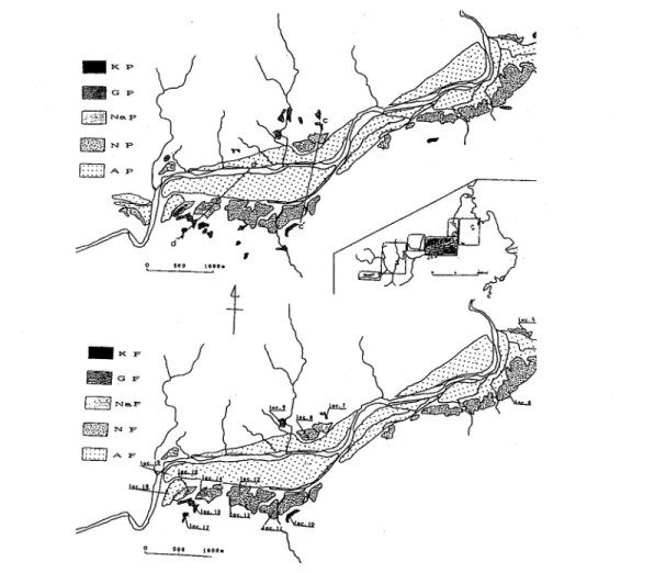 Fig. 3B. Geologic (lower) and topographic (upper) maps of the middle stream area.