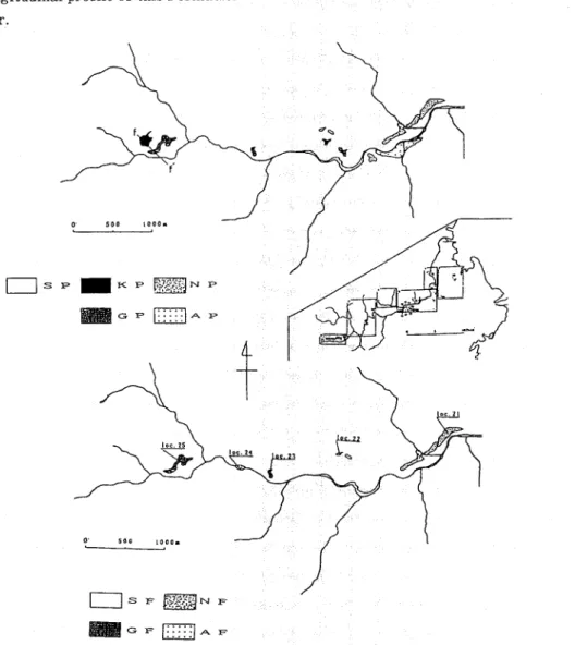 Fig. 3E. Geologic (upper) and topographic (lower) mapりﾌﾟofthe uppermost stream area.