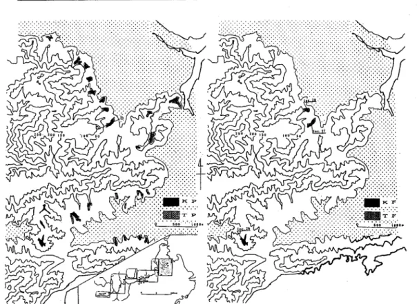 Fig. 3P. Geologic (right) and topographic (left)maps near the coastal area.