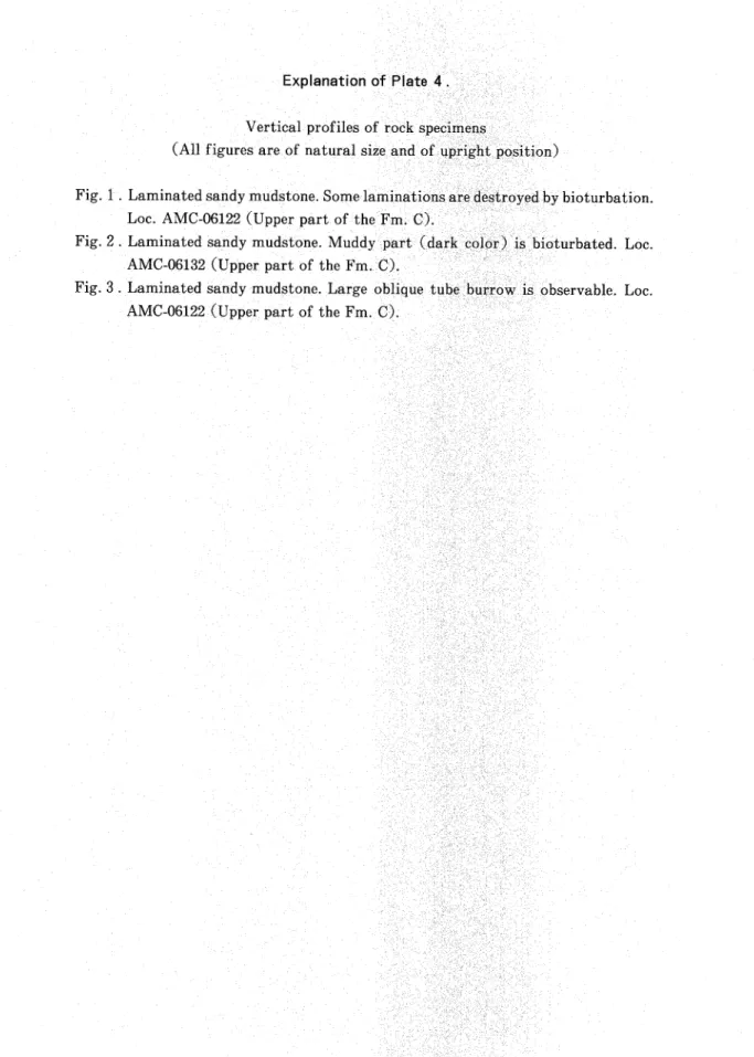 Fig. 1 . Laminated sandy mudstone. Som:ｅ==