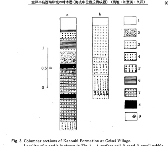 Fig. 3. Columnar sections of Kanouki Formation at Geisei Village･