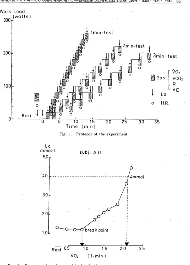 Fig. 1. Protecol of the experiment