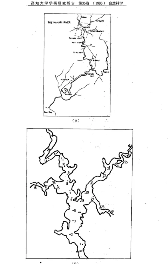 Fig. 1. Sampling sitesin the Yanase dam