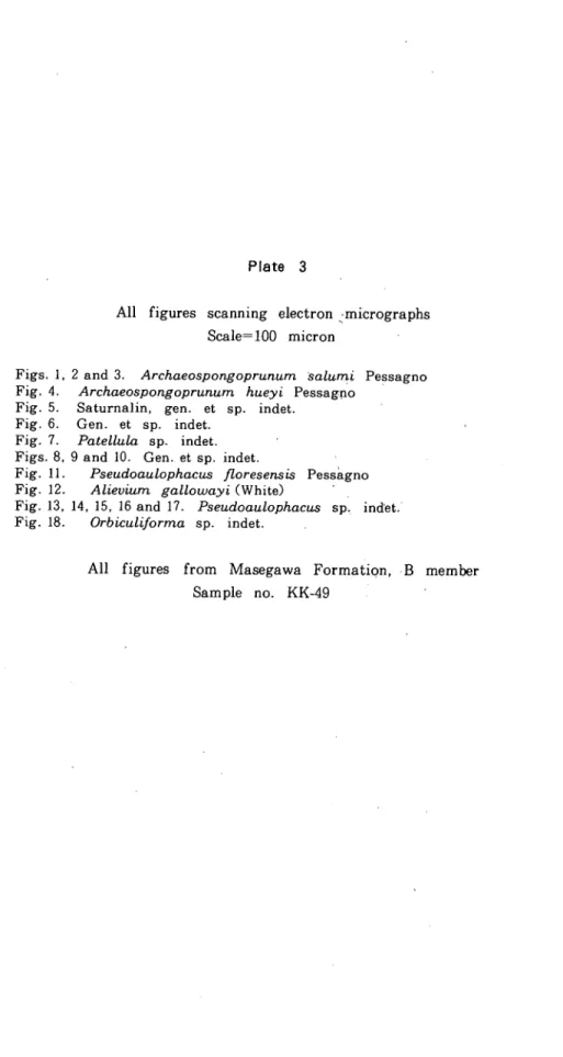 Fig. 6. Gen. et sp. indet.