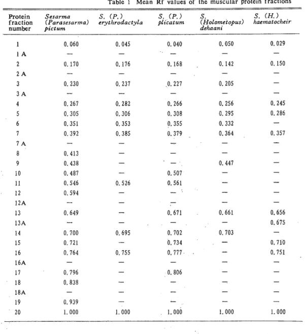 Table １ Mean Rf values of the muscular protein fractions
