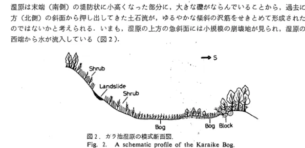 Fig. 2. A schematic profile of the Karaike Bog.