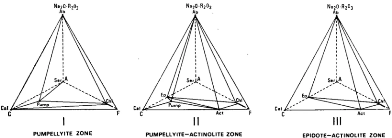 Fig. 4ごZone I , Zone n およびＺｏｎｅⅢにおける塩基性岩の変成鉱物組合せを示す     Ａ−Ｃ−Ｆ−Ｎａ２０･R2O3図．