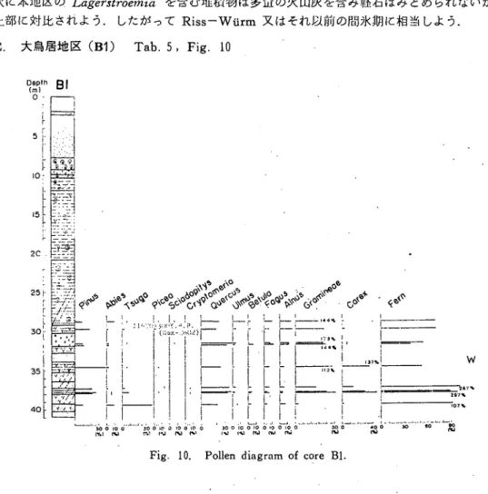 Fig. 10. Pollen diagram