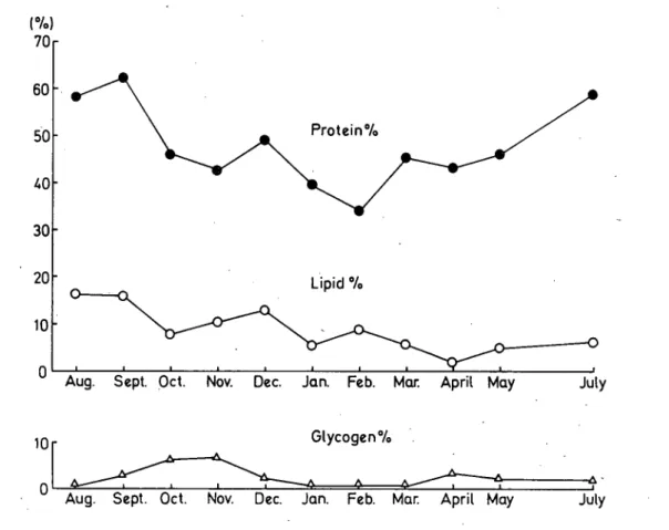 Fig. 3. Same experiment as Fig. 2 showing the effect of changing season on the reserve  substances