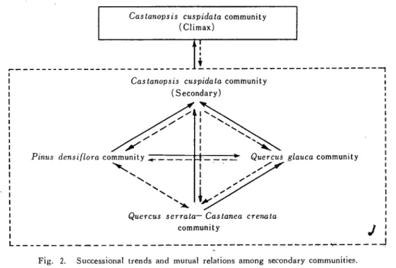 Fig 2. Successional trends and mutual relations among secondary communities.