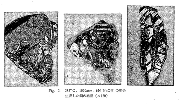 Fig. 3. 385° Ｃ， lOOOatm, ６Ｎ NaOH の場合      生成した銅の結晶（×120）  銅の溶出は･銀の腐食の場合6 と同じように溶液中またはカプセル内の空間にある酸素の影響を 受けることが考えられる．水熱条件下における酸素の挙動については，いまだ判っていない．カプ セル内の全圧および酸素分圧を自由に制御する方法を開発するごとによって，銅の溶出の機構が判 明すると考えられ，今後に残された問題である．           ヽ  この研究を行なうにあたり，大変針匿話になった本学部山崎