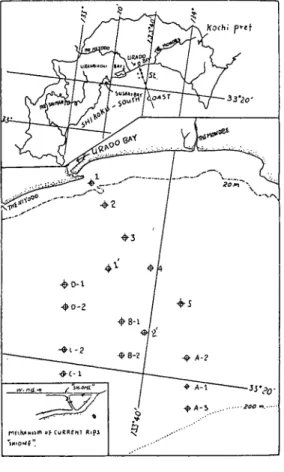 Fig. 1. Location of stations for coastal  observations.  さてこれらの潮目では，まず収斂線上の海水と潮目外の海水とをそれぞれ採水してモリブデ ン，鉄およびアルミニウムを定量し，比較検討することにした．主な観測点は第１図に示す．これらの潮目では収斂線が顕著な場合は水平方向の幅があまり広くないので氷塊の差が明瞭である．しかし収斂線が明らかに見られない場合はかなり広い水域に亘って徐々に水塊が変化する．またたとえ明確に水塊が区分されるような収斂線が形成されてい