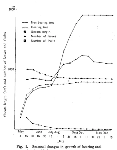 Fig. 2. Seasonal changes in growth of bearing and  non bearing Unshu orange trees.