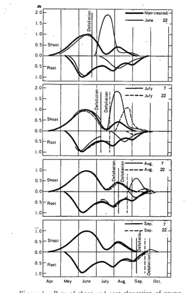 Figure l. Rate of shoot and root elongation of young   Japanese persimmon trees as affected by the, defoliation   atvarious stages of growing period.