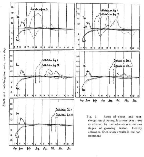 Fig. 1. Rates of shoot‑ and root‑