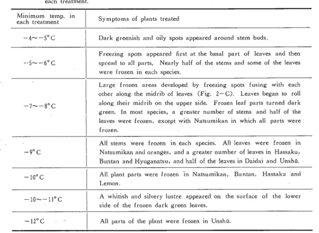 Table 1. Symptoms of plants tifterbeing kept in refrigerator, the temperature  of which was lowered gradually from Ｏ°Ｃto the minimum temperature in  each treatment