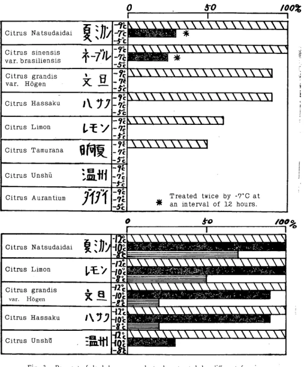 Fig. 3. Per cent of dead leaves per plant when treated by different freezing  temperatures